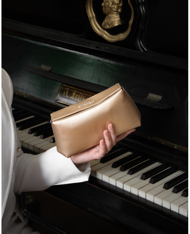 Woman`s evening bag